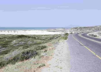 baden powell drive - a road that runs along a bushy coastal area