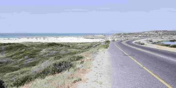 baden powell drive - a road that runs along a bushy coastal area