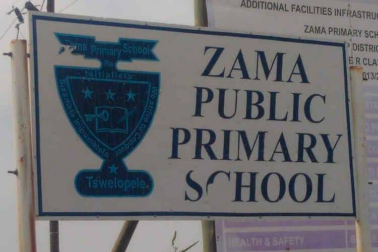 zama primary murder