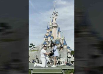 Disney marriage proposal couple
