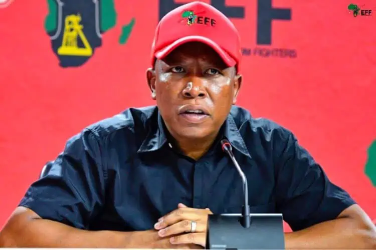 2024 SA election results: EFF secures a vote in Orania - Swisher Post