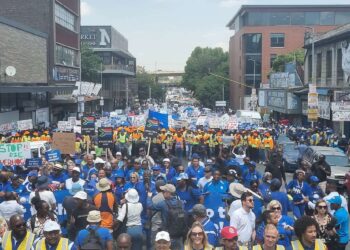 da electricity march anc Luthuli house