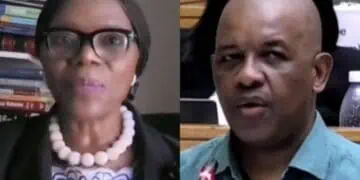 thuli madonsela credentials dali mpofu advocate