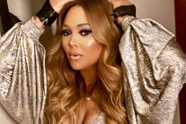 tamia South Africa tour dates tickets