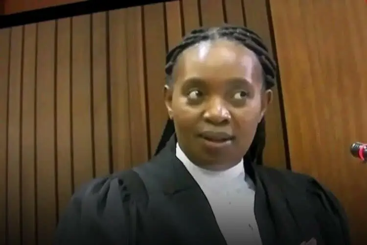 Zandile Khumalo advocate mshololo cross-examination