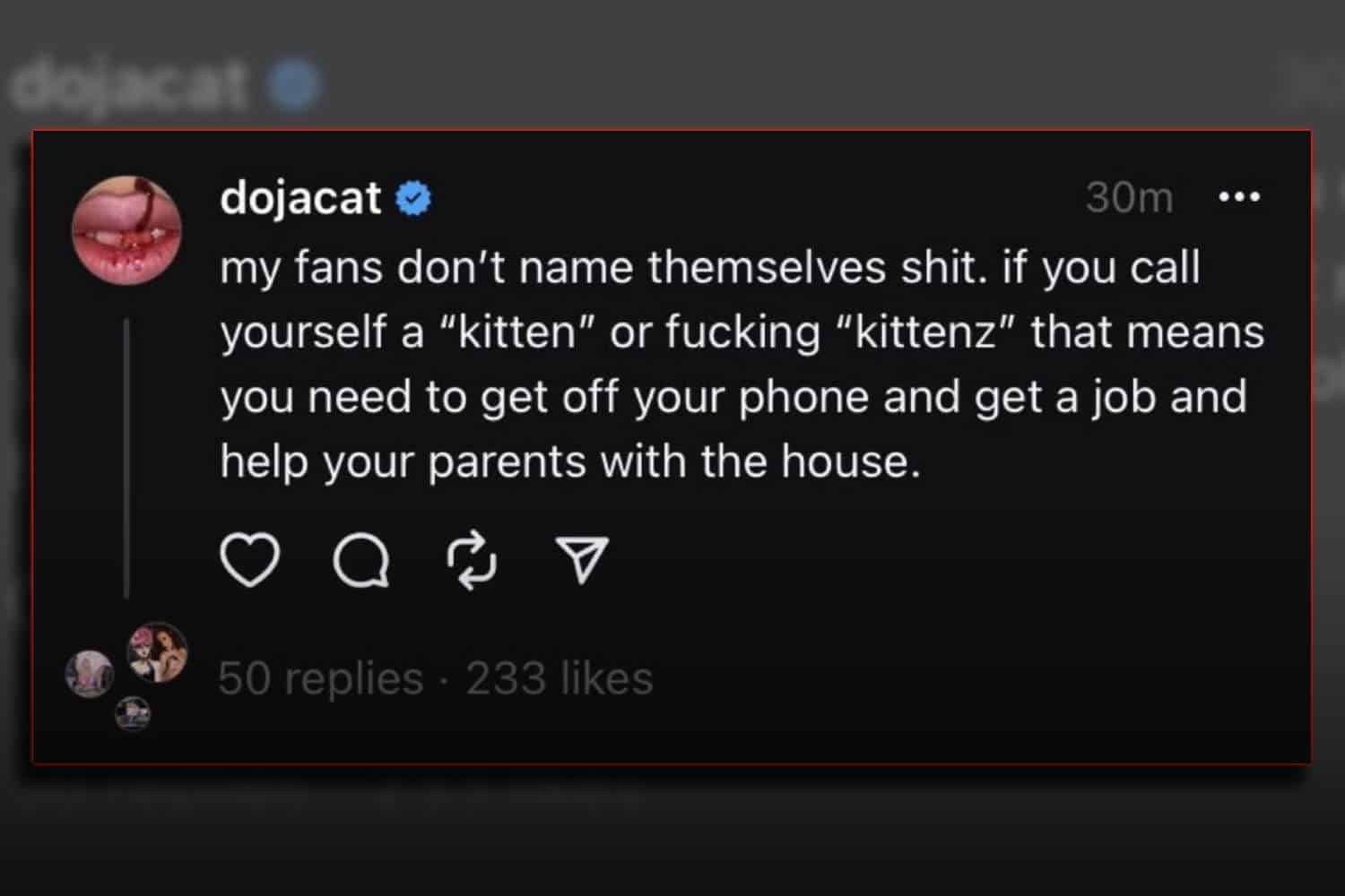 dojo cat kittenz fan accounts