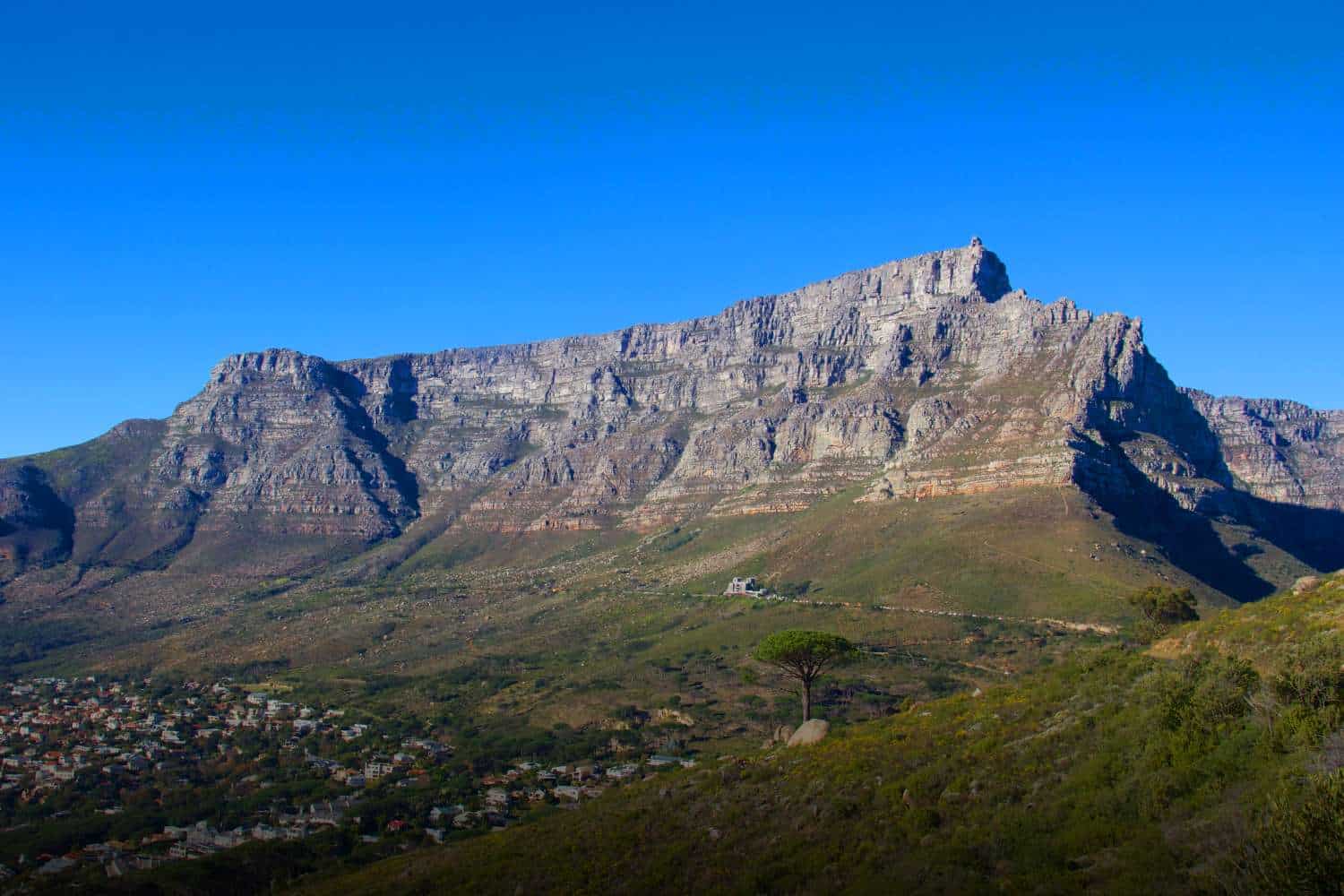 Table Mountain national park cape town