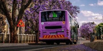tshwane bus services
