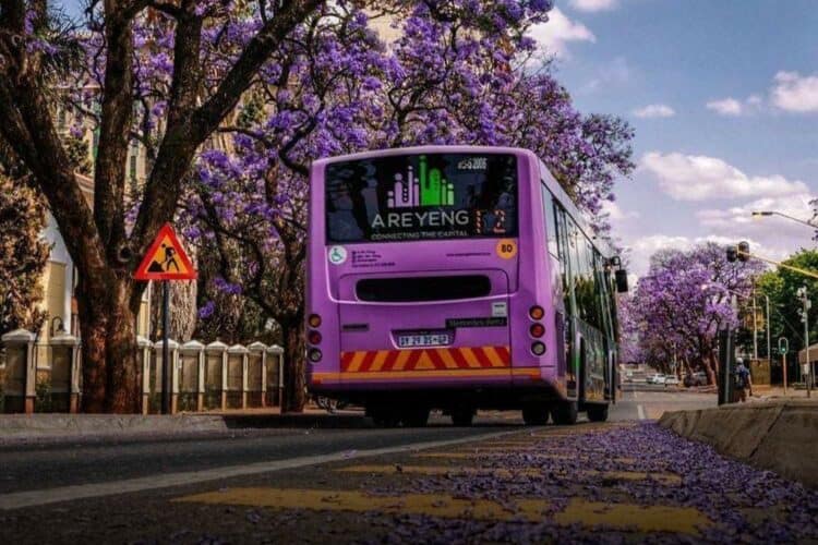 tshwane bus services