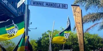 William Nicole drive Winnie Mandela drive name change