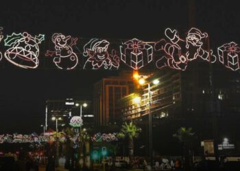 Cape Town festival lights switch-on November 2023