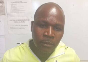 nqubeko bright mchunu murder durban suspect
