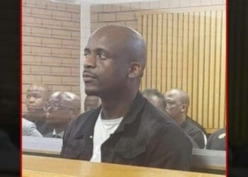 mdumiseni zuma 2021 July riots 12 year sentence