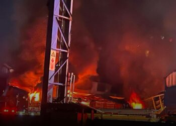 Springfield park china mall fire