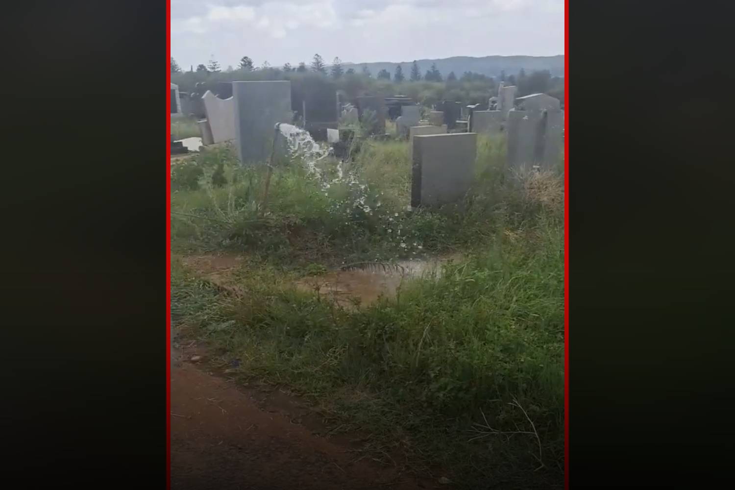 Zandfontein cemetery hosts gory robberyturnedmurder scene Swisher Post