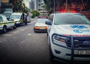 green point backpackers murder