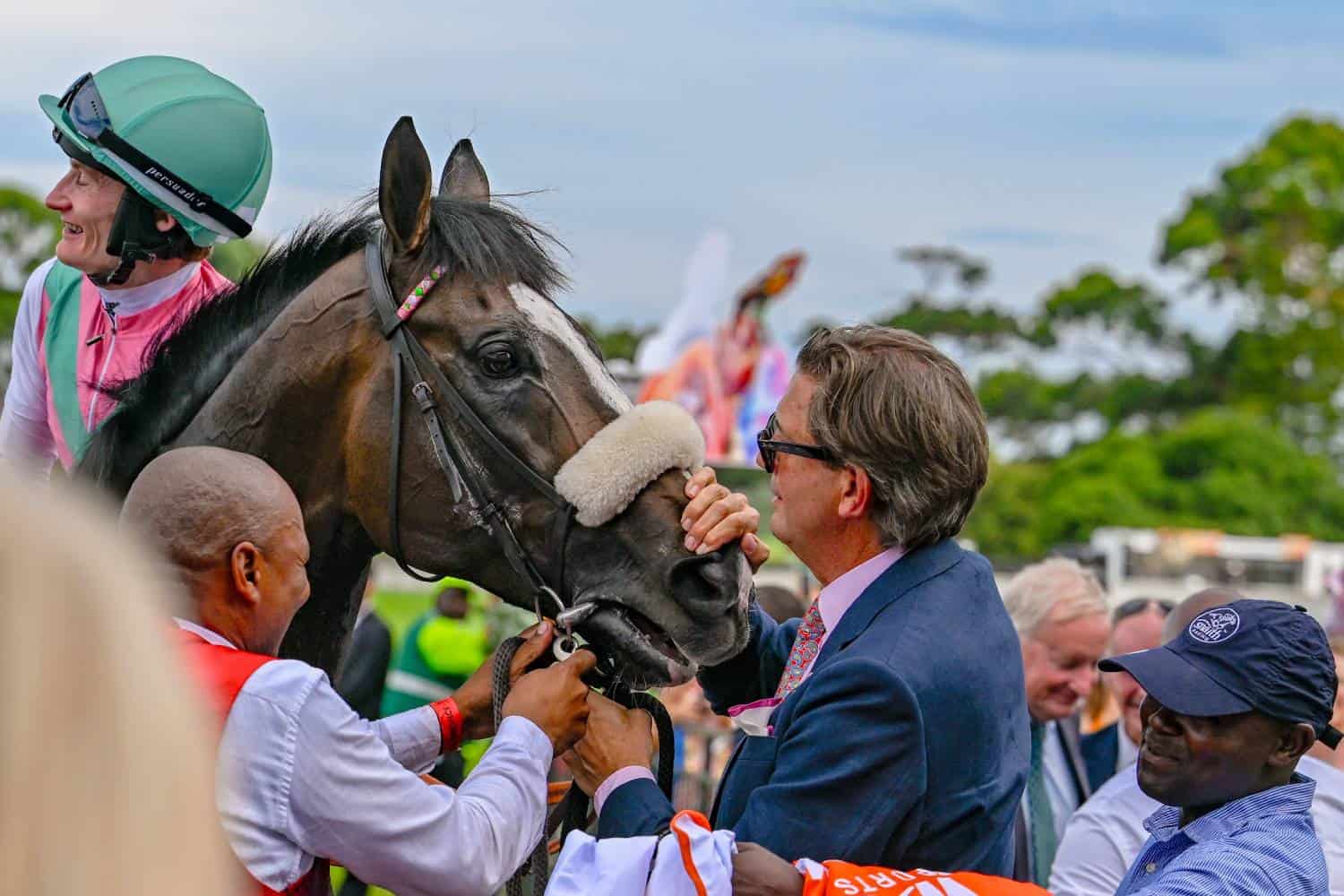 Cape Town met horse
